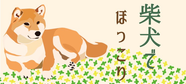 カワイイがいっぱい！ワンダーランド